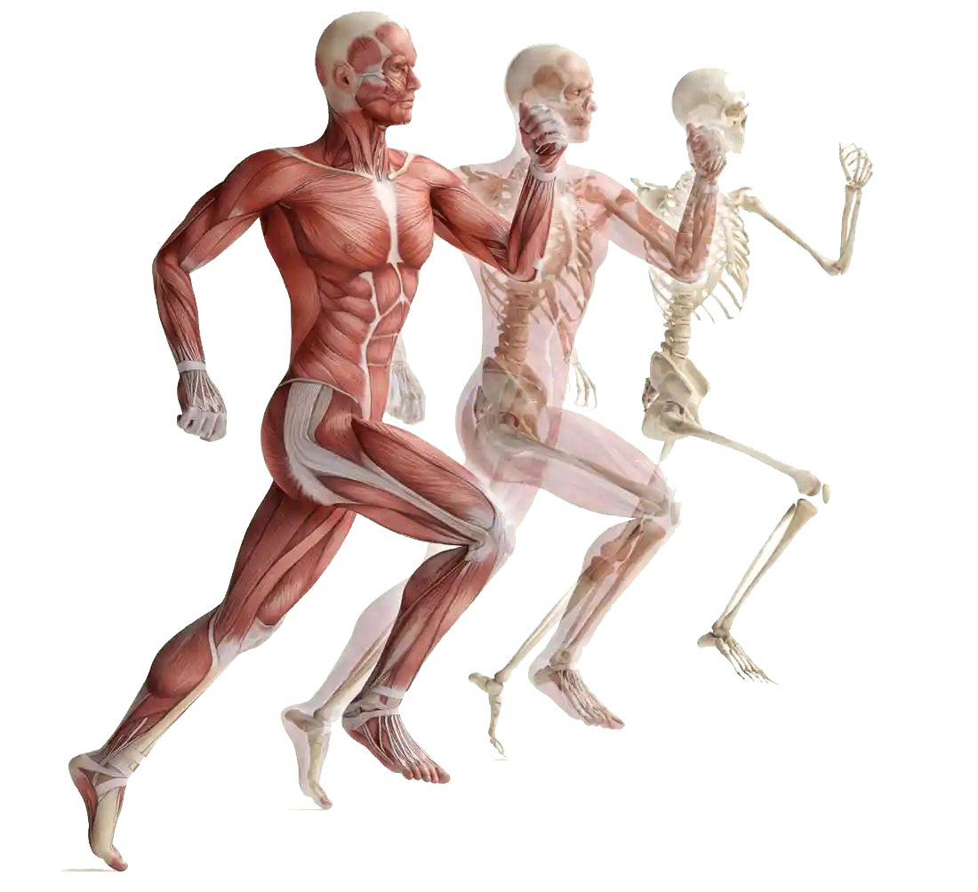 256