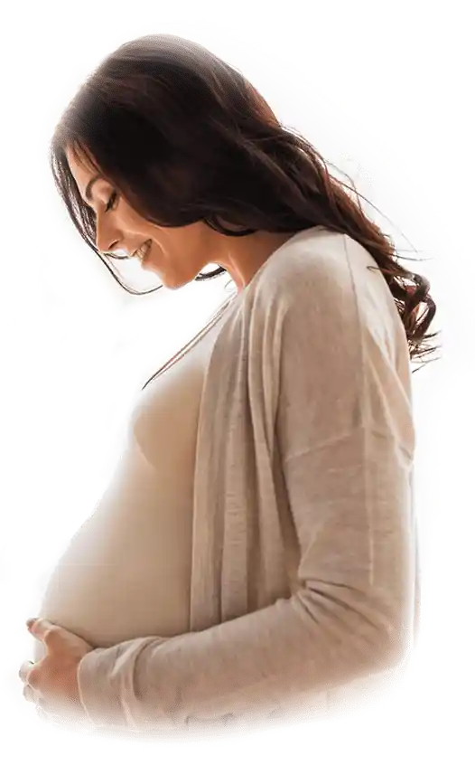 pngegg_1
